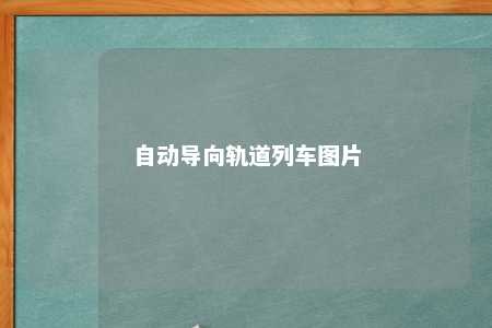自动导向轨道列车图片 